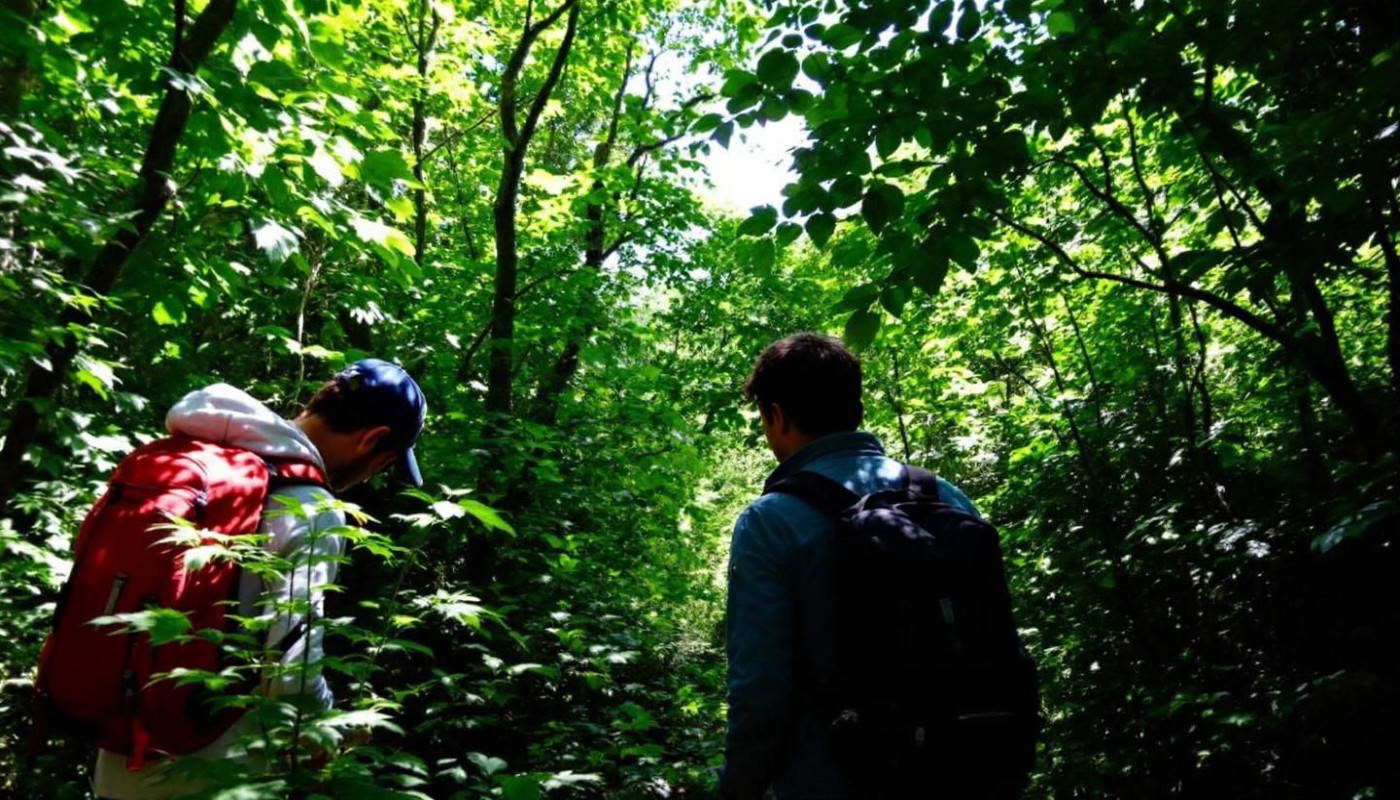 Exploration des trésors cachés des quatre départements du Poitou-Charentes